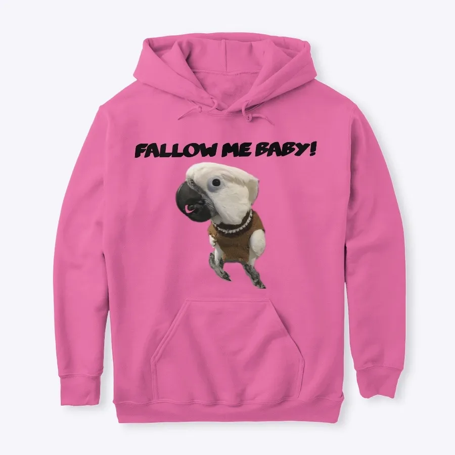 Fallow Me Baby - Joseph Tehrani