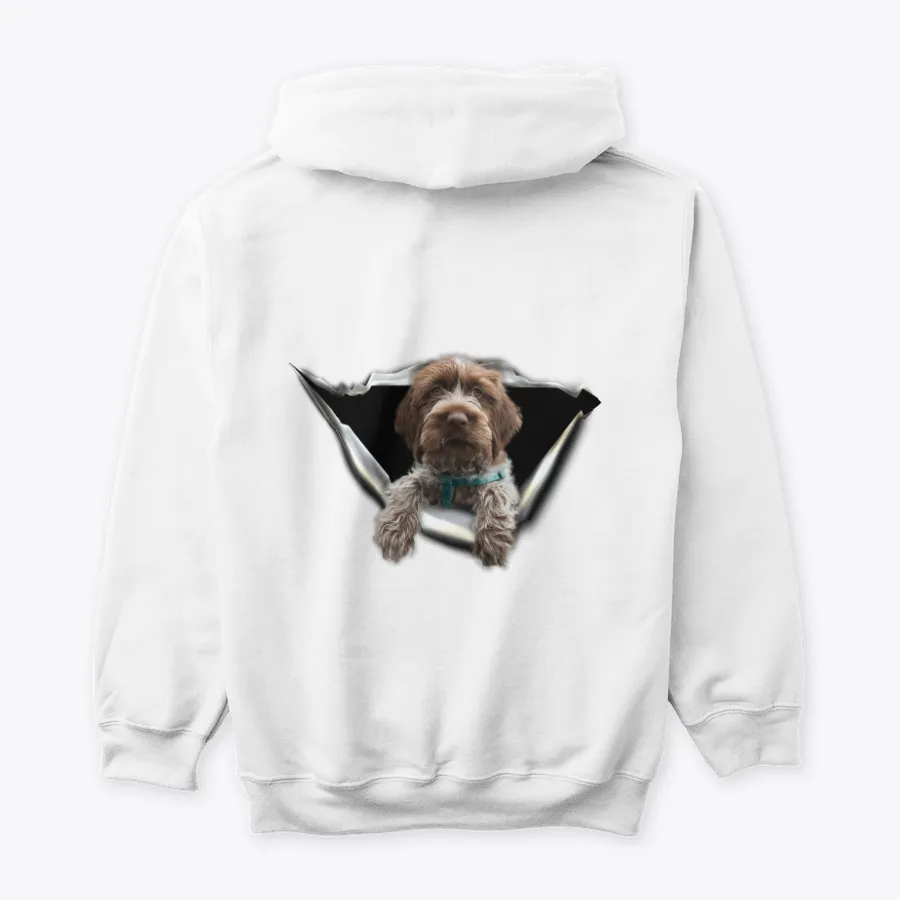 Wirehaired Pointing Griffon