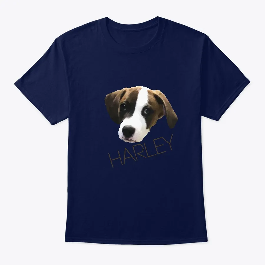 Nfr Maine - Harley