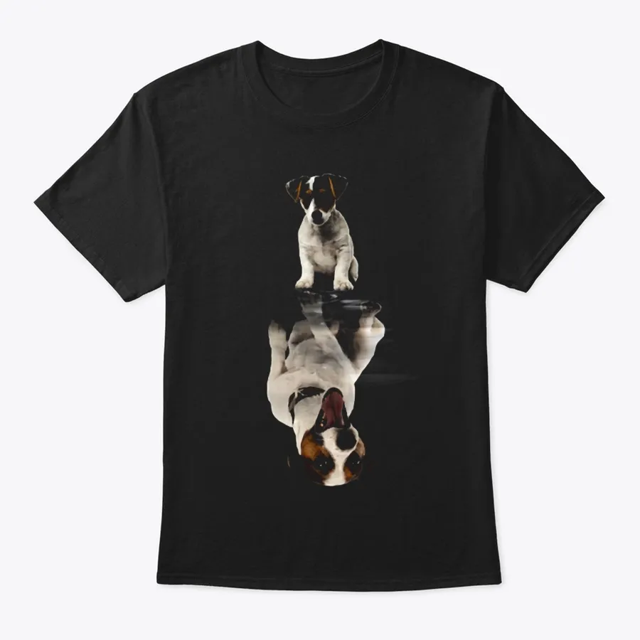 Jack Russell Terrier 2