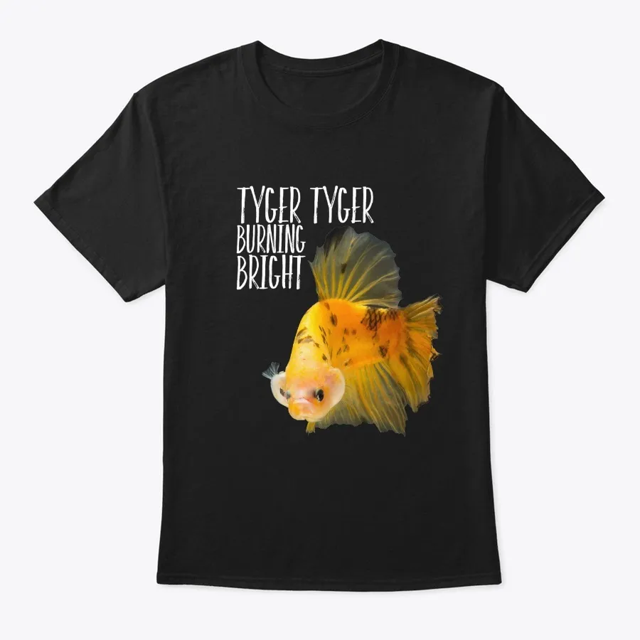 Tyger- Yellow Tiger Koi Betta Fish