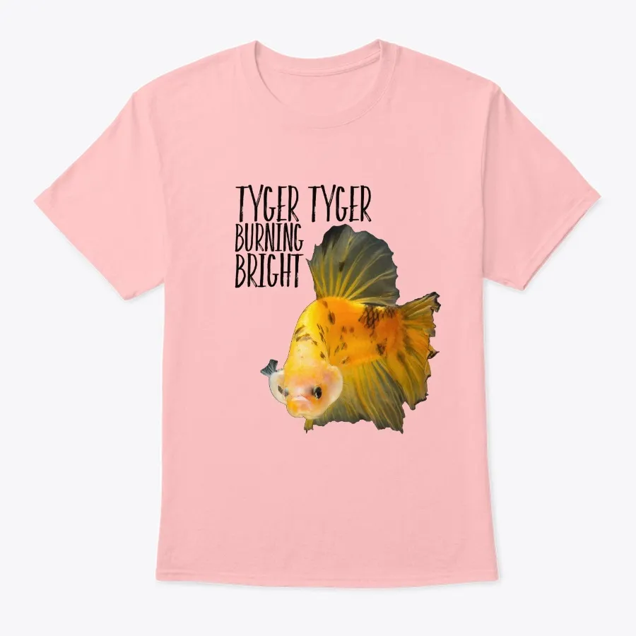 Tyger - Yellow Koi Betta Fish